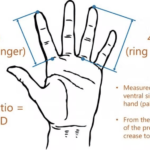 O que o tamanho dos seus dedos pode revelar sobre sua personalidade e saúde, segundo a ciência?