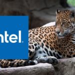 Intel revela codinome Jaguar Shores para geração futura do acelerador Gaudi, para IA