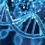 Como o teste de DNA funciona e comprova a paternidade de uma pessoa?