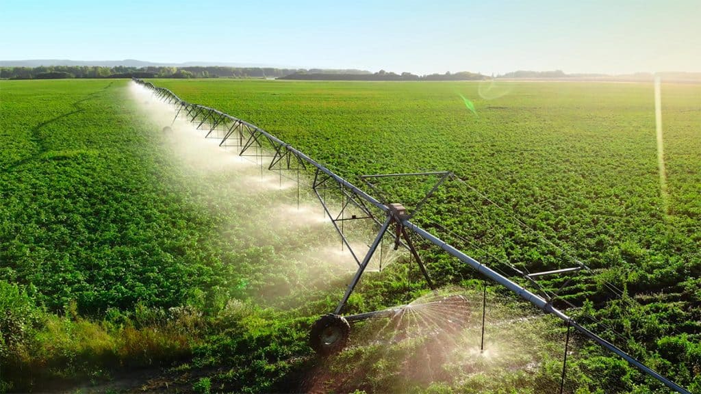 Estamos perto de uma revolução na agricultura!