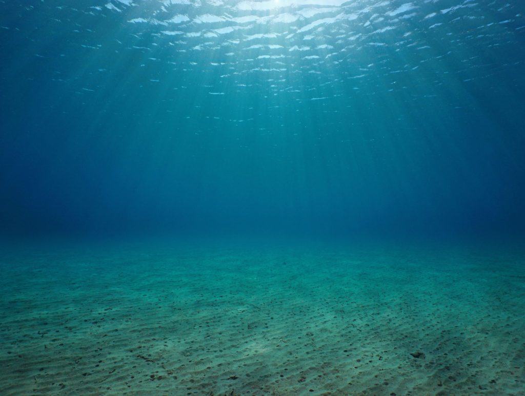 Mais de 800 novas espécies são descobertas no fundo do mar