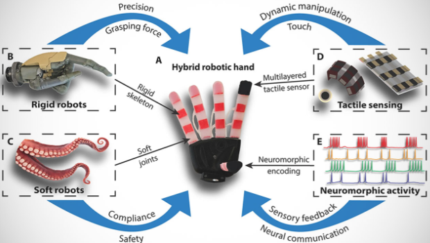 Mão robótica inovadora consegue agarrar como um humano e ajustar a pressão com precisão