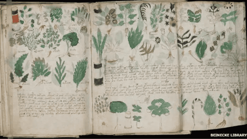 Manuscrito Voynich: descubra os segredos do livro que ninguém consegue decifrar