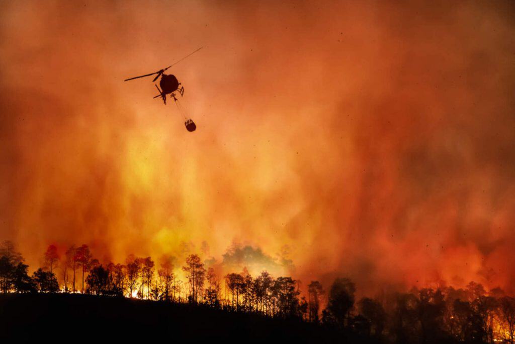 Como e por que acontecem incêndios florestais?